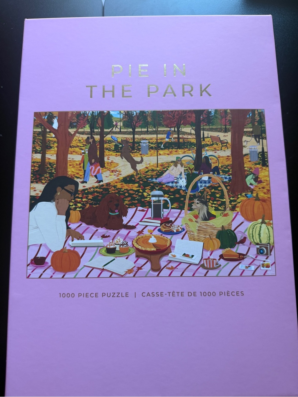 New Hobbry Rachel Joanis 1000 piece Jigsaw Puzzle Pie in the Park Fall Autumn